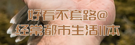 好看不套路@经常都市生活11本