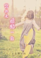 重生之追逐一生