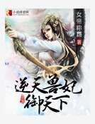 逆天獸妃御天下