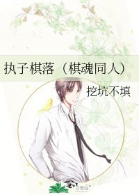 执子棋落（棋魂同人）